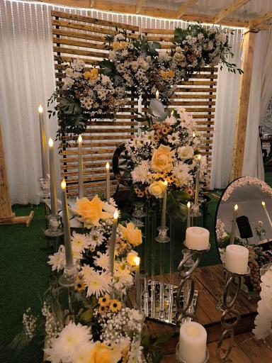 عکس باغ تالار پارادایس