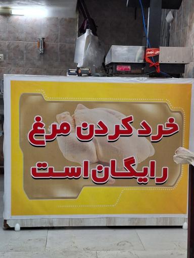 عکس ماهی سرای صادق