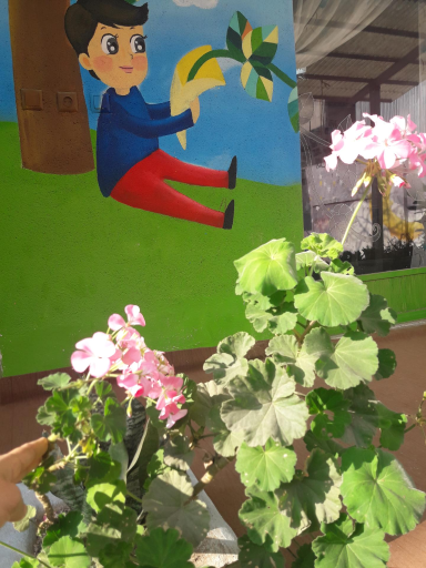 عکس کافه کودک درنا