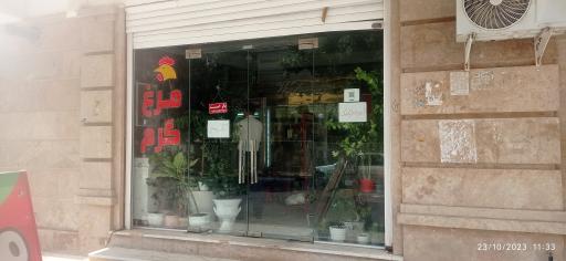 عکس مرغ گرم ققنوس