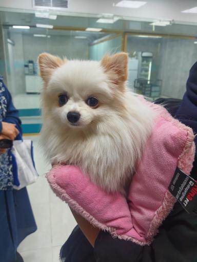 عکس درمانگاه دامپزشکی دی