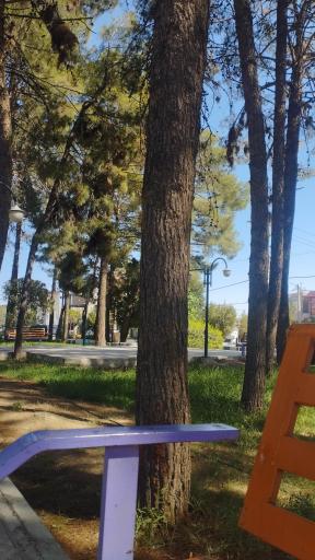 عکس پارک 15 خرداد