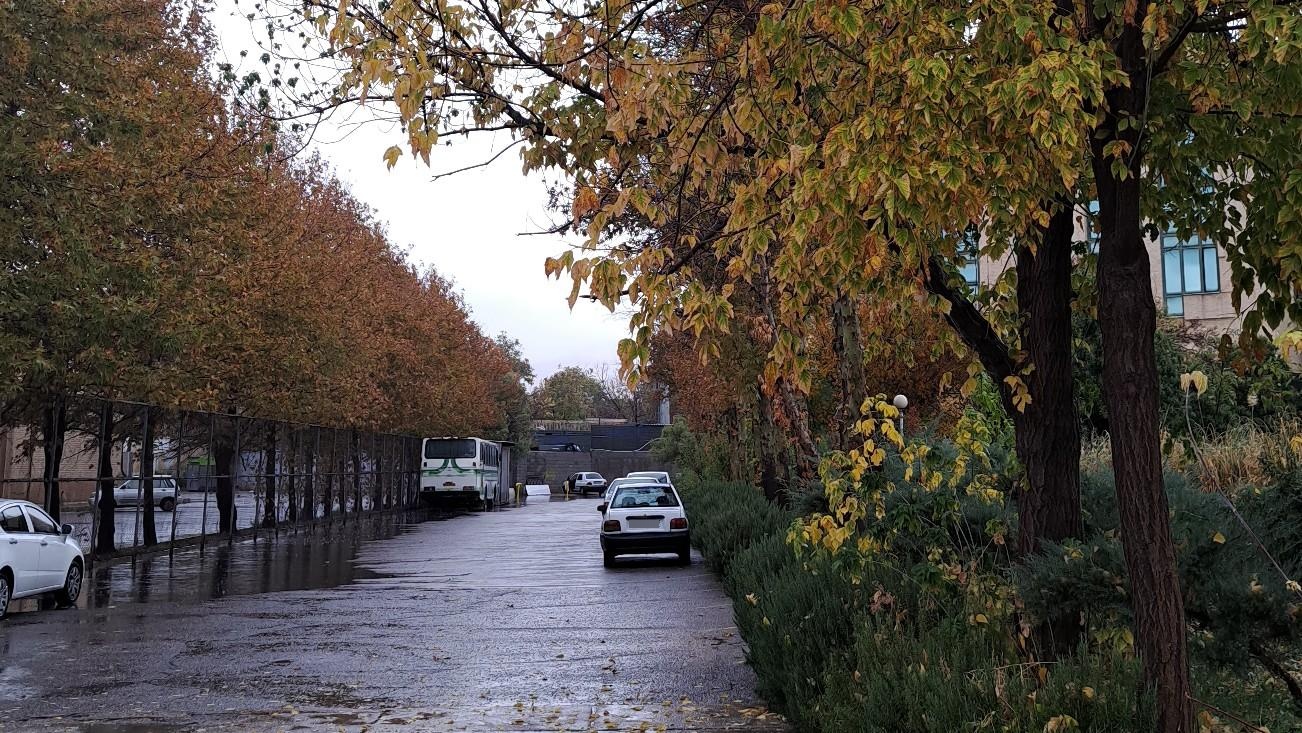 عکس دانشگاه معارف و علوم قرآنی