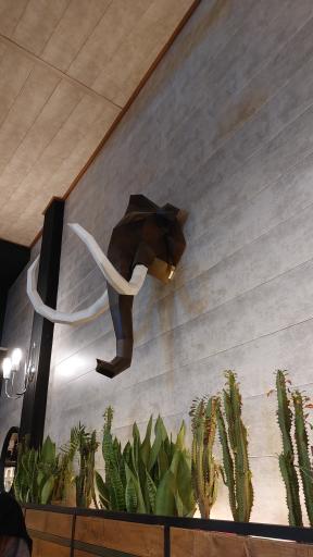 عکس کافه ماموت