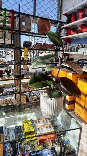 عکس لوکس اسپرت حسن