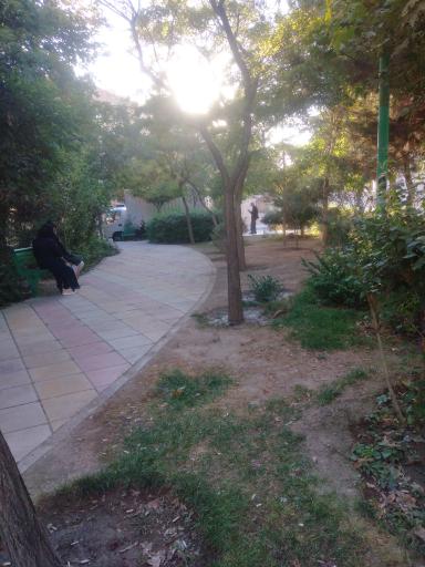 عکس بوستان امین