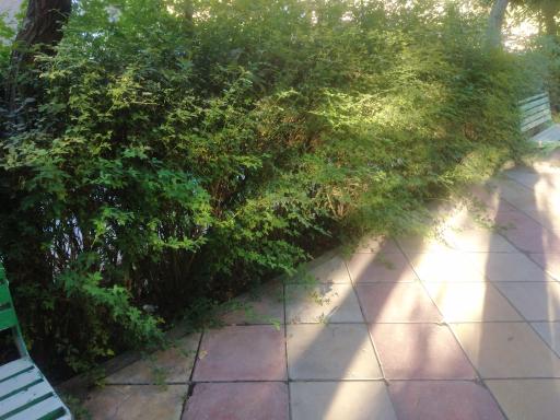 عکس بوستان امین