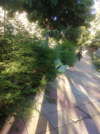 عکس بوستان امین