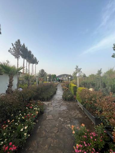 عکس گل و نهال حمید سارایی