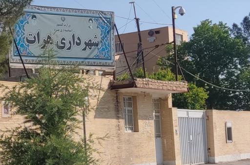 عکس شهرداری هرات