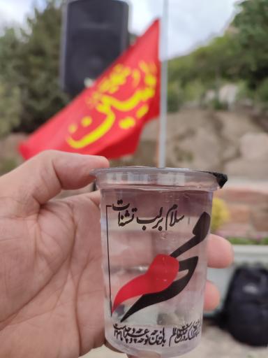 عکس شهدای گمنام صفه