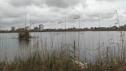 عکس تالاب کیاکلایه