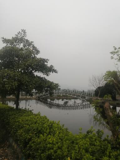 عکس تالاب کیاکلایه