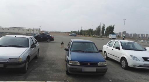 عکس استخر دانشگاه آزاد پیشوا