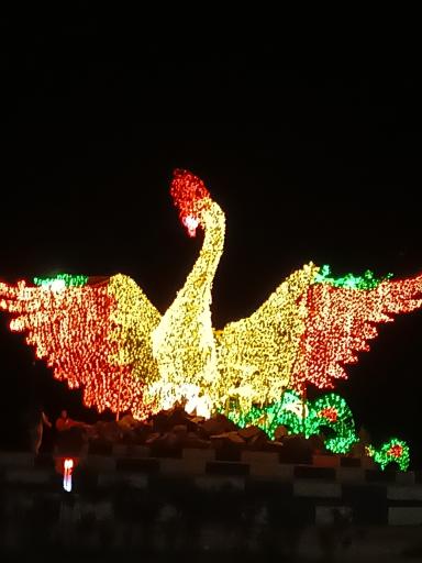 عکس میدان سیمرغ