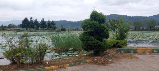 عکس تالاب کیاکلایه