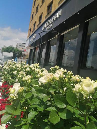 عکس فروشگاه هاکوپیان اوت لت