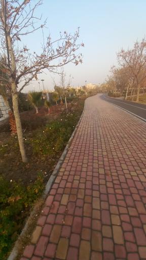 عکس پارک شهید محسن حججی