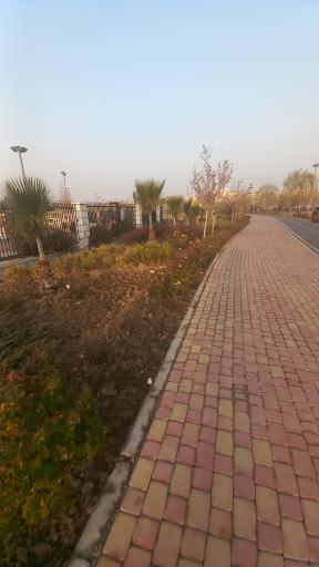 عکس پارک شهید محسن حججی