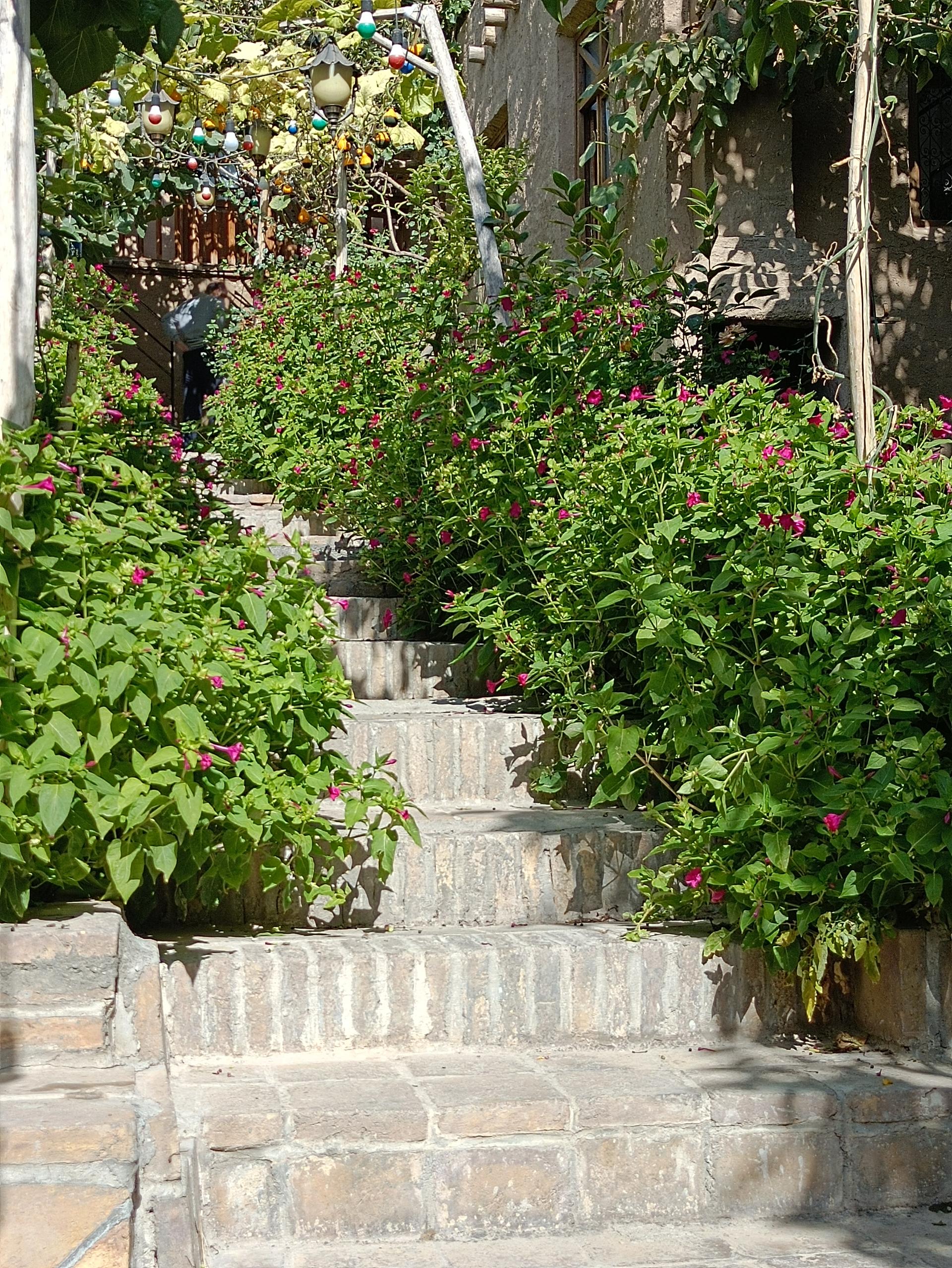 عکس اقامتگاه بومگردی چنارستان دررود