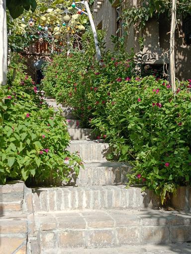 عکس اقامتگاه بومگردی چنارستان دررود