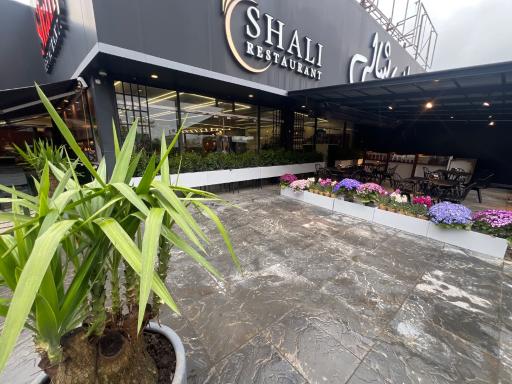 عکس رستوران شالی