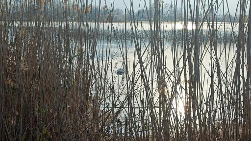 عکس تالاب کیاکلایه