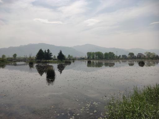 عکس تالاب کیاکلایه