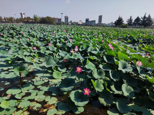 تالاب کیاکلایه