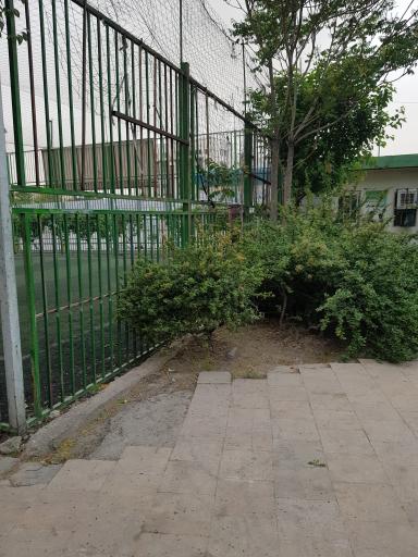 عکس زمین چمن مصنوعی صیاد شیرازی