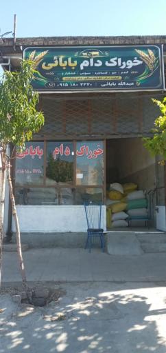 عکس خوراک دام بابائی