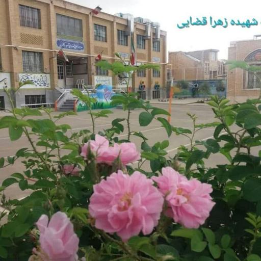 عکس دبیرستان نمونه دولتی شهیده قضایی