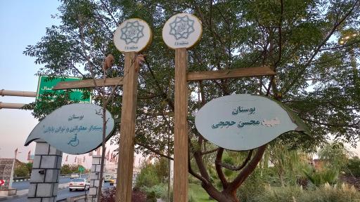 عکس پارک شهید محسن حججی