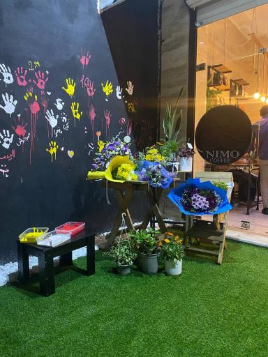 عکس کافه نیمو