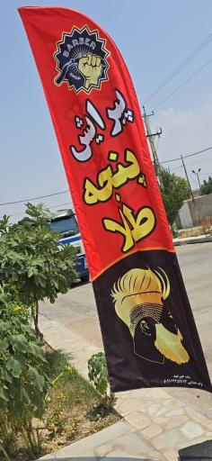 عکس پیرایش پنجه طلا