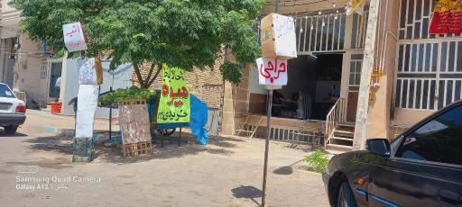 میوه تره بار اتحاد