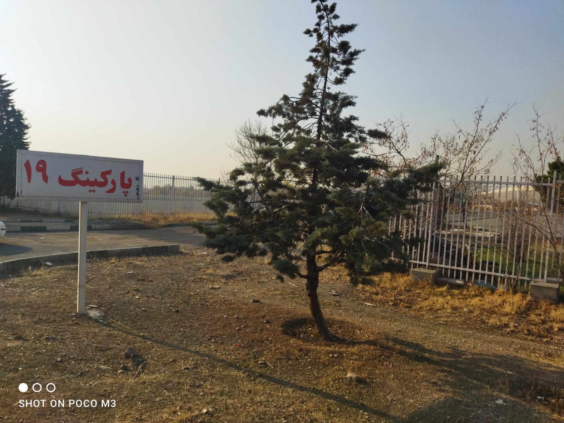 عکس پارکینگ شماره نوزده ورزشگاه آزادی