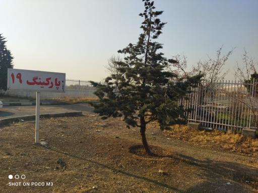 عکس پارکینگ شماره نوزده ورزشگاه آزادی