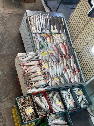 عکس بازارچه تنظیم بازار غدیر