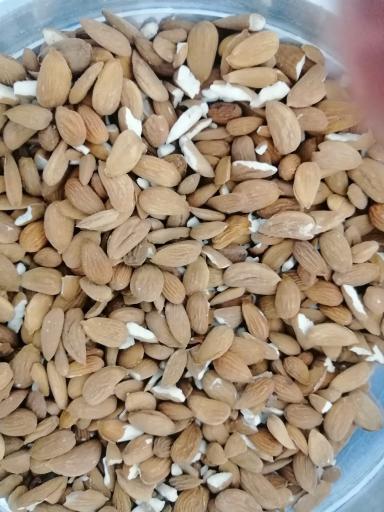 عکس ارگانیک سرای روح الامین 