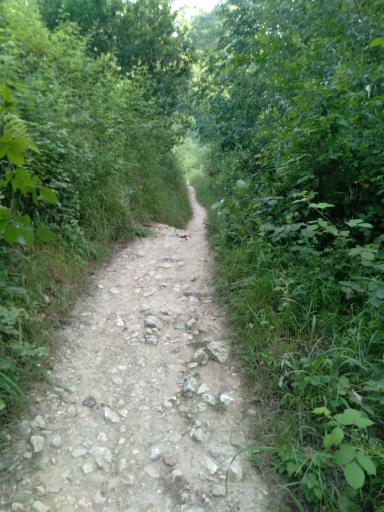 عکس آبشار سنگ نو بهشهر