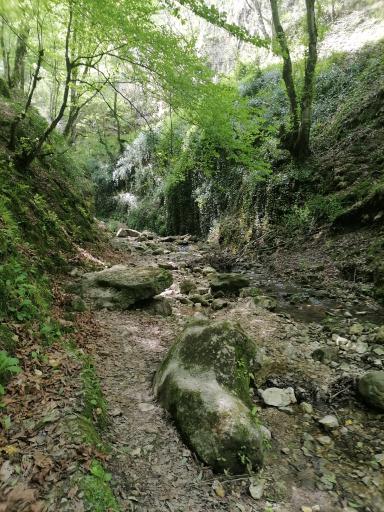 عکس آبشار سنگ نو بهشهر