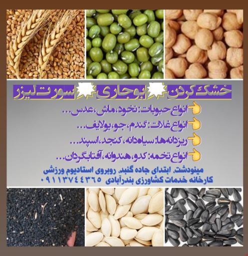 عکس کارخانه خدمات کشاورزی بندرآبادی