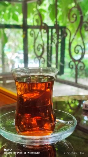 عکس کافه املت دیروز