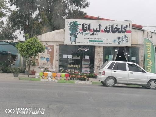 عکس گلخانه لیراتا