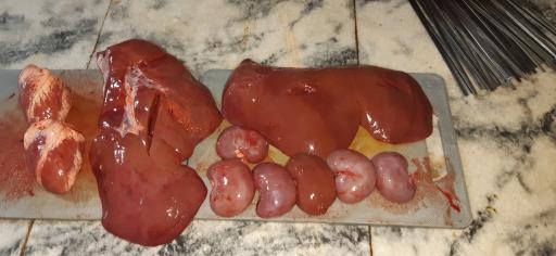 عکس فست فود بهارستان 