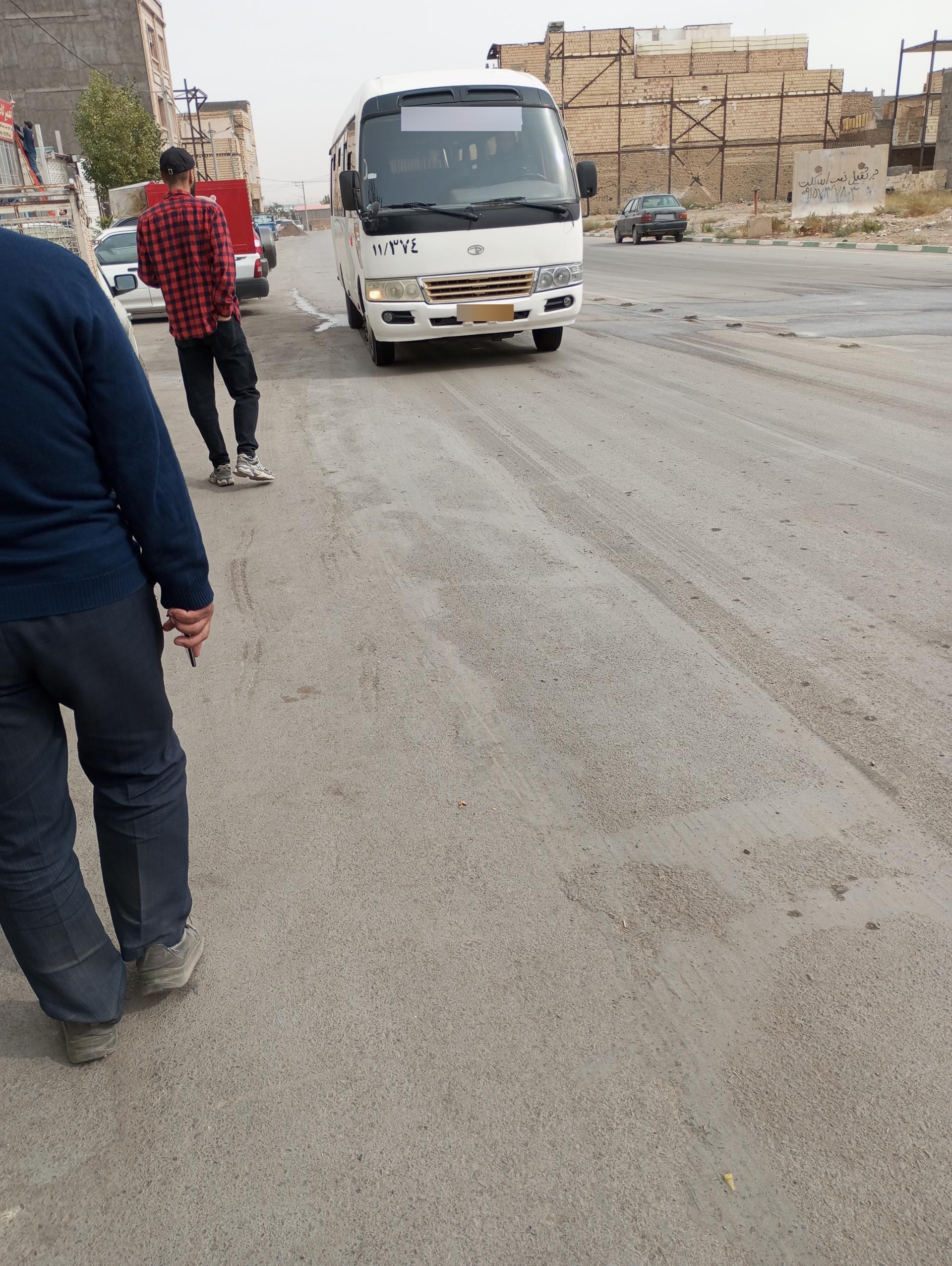 عکس شقایق 24