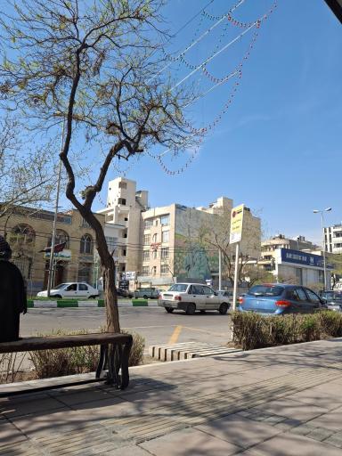 عکس فلسطین 15