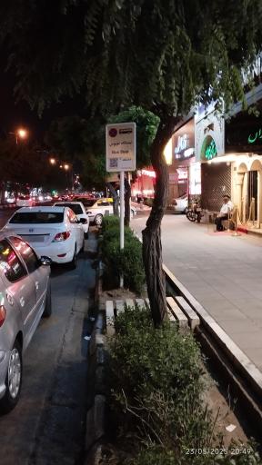 عکس فلسطین 15