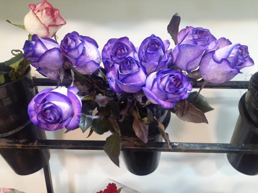 گلفروشی بهارک